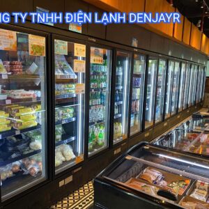 CÔNG TY TNHH DENJAYR BÀN GIAO COMBO 25 TỦ MÁT VÀ TỦ ĐÔNG CỠ LỚN CHO SIÊU THỊ TẠI QUẢNG NGÃI