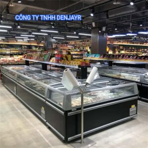 CÔNG TY TNHH DENJAYR BÀN GIAO COMBO NHIỀU TỦ ĐÔNG MẪU CAO CẤP TXĐ VỀ KHÁNH HÒA