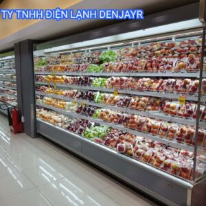 CÔNG TY TNHH DENJAYR BÀN GIAO VÀI CHIẾC HỆ KHỦNG LONG CHUYÊN MÁT VỀ SÀI GÒN ĐỂ ANH CHỊ LÀM TRÁI CÂY