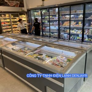CÔNG TY TNHH DENJAYR BÀN GIAO COMBO NHIỀU TỦ ĐÔNG VÀ MÁT VỀ PHỤC VỤ QUÝ ANH CHỊ TẠI BÌNH DƯƠNG