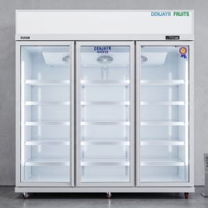 TỦ ĐÔNG ĐỨNG 3 CÁNH CAO CẤP DENJAYR MODEL DJTDD3C
